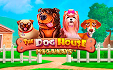 The Dog House Megaways